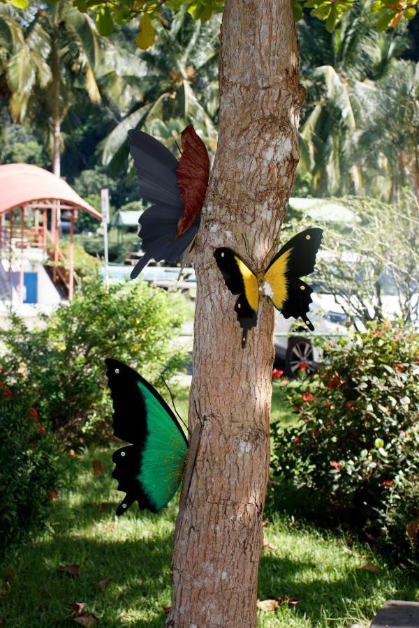 Hotel Samoa Del Sur Golfito Luaran gambar